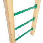 Lifespan Amazon 3.0m Monkey Bar Set