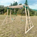 Lifespan Daintree 2-in-1 Monkey Bars & Swing Set