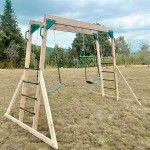 Lifespan Daintree 2-in-1 Monkey Bars & Swing Set