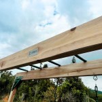 Lifespan Daintree 2-in-1 Monkey Bars & Swing Set