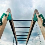 Lifespan Daintree 2-in-1 Monkey Bars & Swing Set