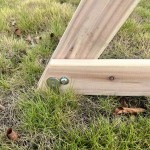Lifespan Daintree 2-in-1 Monkey Bars & Swing Set