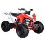 Crossfire Rover 125 125cc Sports Quad Bike - Red Crossfire Rover 125 125cc Sports Quad Bike - Red
