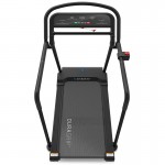 Lifespan Reformer 2 Safety Rehabilitation Treadmill