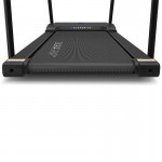 Lifespan Reformer 2 Safety Rehabilitation Treadmill