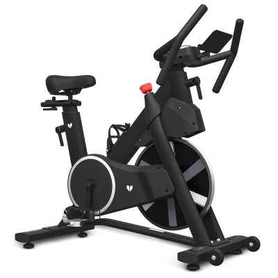 Lifespan SM-420 Magnetic Spin Bike