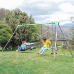 Lifespan Lynx Metal Swing Set Lifespan Lynx Metal Swing Set