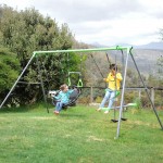 Lifespan Lynx Metal Swing Set Lifespan Lynx Metal Swing Set