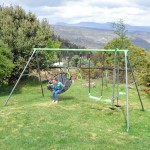 Lifespan Lynx Metal Swing Set Lifespan Lynx Metal Swing Set
