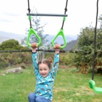Lifespan Lynx Metal Swing Set Lifespan Lynx Metal Swing Set
