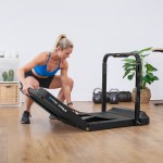 Lifespan V-FOLD Treadmill with SmartStride Lifespan V-FOLD Treadmill with SmartStride