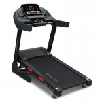 Lifespan Torque 4 Treadmill