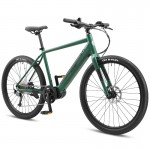XDS E-Street 17" Mens E-Bike - Forest