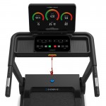 Lifespan Pursuit Treadmill Lifespan Pursuit Treadmill