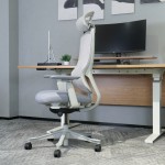 Lifespan DM8 Ergonomic Office Desk Chair (White/Grey) Lifespan DM8 Ergonomic Office Desk Chair (White/Grey)