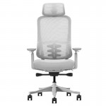 Lifespan DM8 Ergonomic Office Desk Chair (White/Grey) Lifespan DM8 Ergonomic Office Desk Chair (White/Grey)