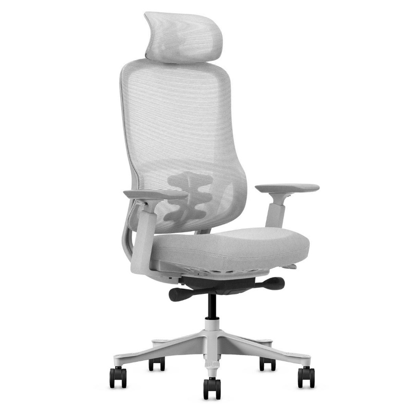 Lifespan DM8 Ergonomic Office Desk Chair (White/Grey) Lifespan DM8 Ergonomic Office Desk Chair (White/Grey)