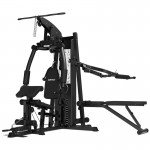 Lifespan Cortex SS4 Functional Home Gym + Chest & Squat Station Lifespan Cortex SS4 Functional Home Gym + Chest & Squat Station