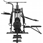 Lifespan Cortex SS4 Functional Home Gym Complete Multi Station