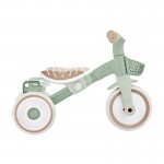Globber LEARNING TRIKE 2in1 PLUS Ecologic - Pistachio Globber LEARNING TRIKE 2in1 PLUS Ecologic - Pistachio