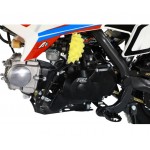Apollo RFN Thunder 70cc Dirt Bike - Red/White