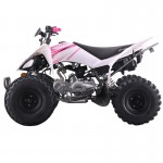 Crossfire Rover 125 125cc Sports Quad Bike - Pink Crossfire Rover 125 125cc Sports Quad Bike - Pink