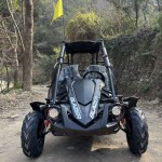 Crossfire Blazer 200R 200cc Go Kart - Black Crossfire Blazer 200R 200cc Go Kart - Black
