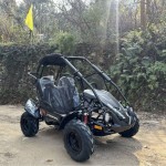Crossfire Blazer 200R 200cc Go Kart - Black Crossfire Blazer 200R 200cc Go Kart - Black