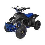 GMX 70cc Ripper-X Junior Kids Quad Bike - Black / Blue GMX 70cc Ripper-X Junior Kids Quad Bike - Black / Blue