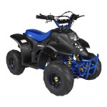GMX 70cc Ripper-X Junior Kids Quad Bike - Black / Blue GMX 70cc Ripper-X Junior Kids Quad Bike - Black / Blue