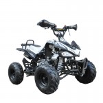 MW 125cc Sports Quad Bike - Black