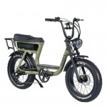 XDS ICON E-Vibe 20" Electric Bike - Army Green