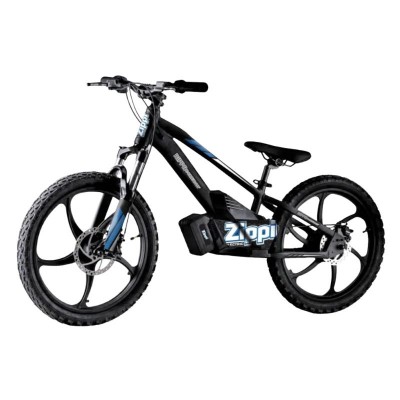 ZIPPI