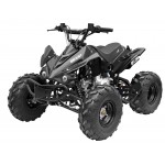 GMX 125cc The Beast Sports Quad Bike - Black
