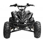 GMX 125cc The Beast Sports Quad Bike - Black