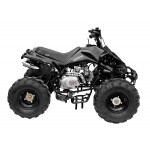 GMX 125cc The Beast Sports Quad Bike - Black