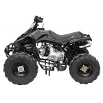 GMX 125cc The Beast Sports Quad Bike - Black