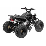 GMX 125cc The Beast Sports Quad Bike - Black