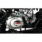 GMX 125cc The Beast Sports Quad Bike - Black