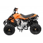 GMX 110cc The Beast Sports Quad Bike - Orange