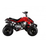 GMX 110cc The Beast Sports Quad Bike - Red GMX 110cc The Beast Sports Quad Bike - Red