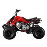 GMX 110cc The Beast Sports Quad Bike - Red GMX 110cc The Beast Sports Quad Bike - Red