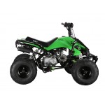 GMX 110cc The Beast Sports Quad Bike - Green GMX 110cc The Beast Sports Quad Bike - Green