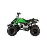 GMX 110cc The Beast Sports Quad Bike - Green GMX 110cc The Beast Sports Quad Bike - Green