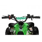 GMX 110cc The Beast Sports Quad Bike - Green GMX 110cc The Beast Sports Quad Bike - Green