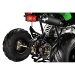 GMX 110cc The Beast Sports Quad Bike - Green GMX 110cc The Beast Sports Quad Bike - Green