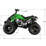 GMX 110cc The Beast Sports Quad Bike - Green GMX 110cc The Beast Sports Quad Bike - Green