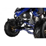 GMX 110cc The Beast Sports Quad Bike - Blue GMX 110cc The Beast Sports Quad Bike - Blue