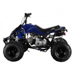 GMX 110cc The Beast Sports Quad Bike - Blue GMX 110cc The Beast Sports Quad Bike - Blue