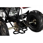 GMX 110cc The Beast Sports Quad Bike - Blue GMX 110cc The Beast Sports Quad Bike - Blue